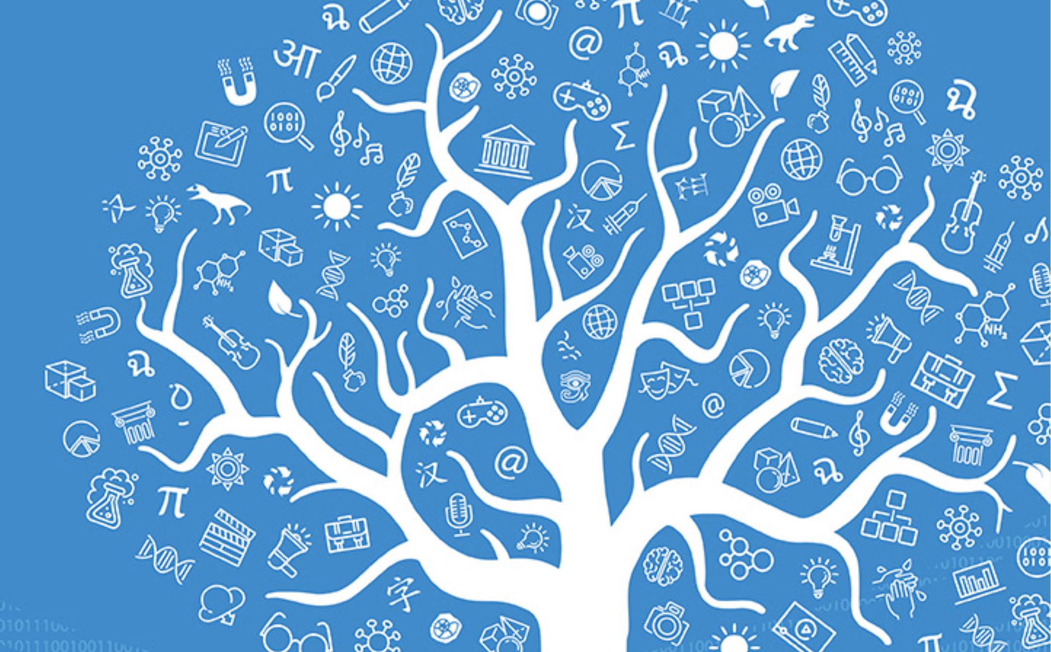 TVET Leadership Programme ( TLP) ED-005