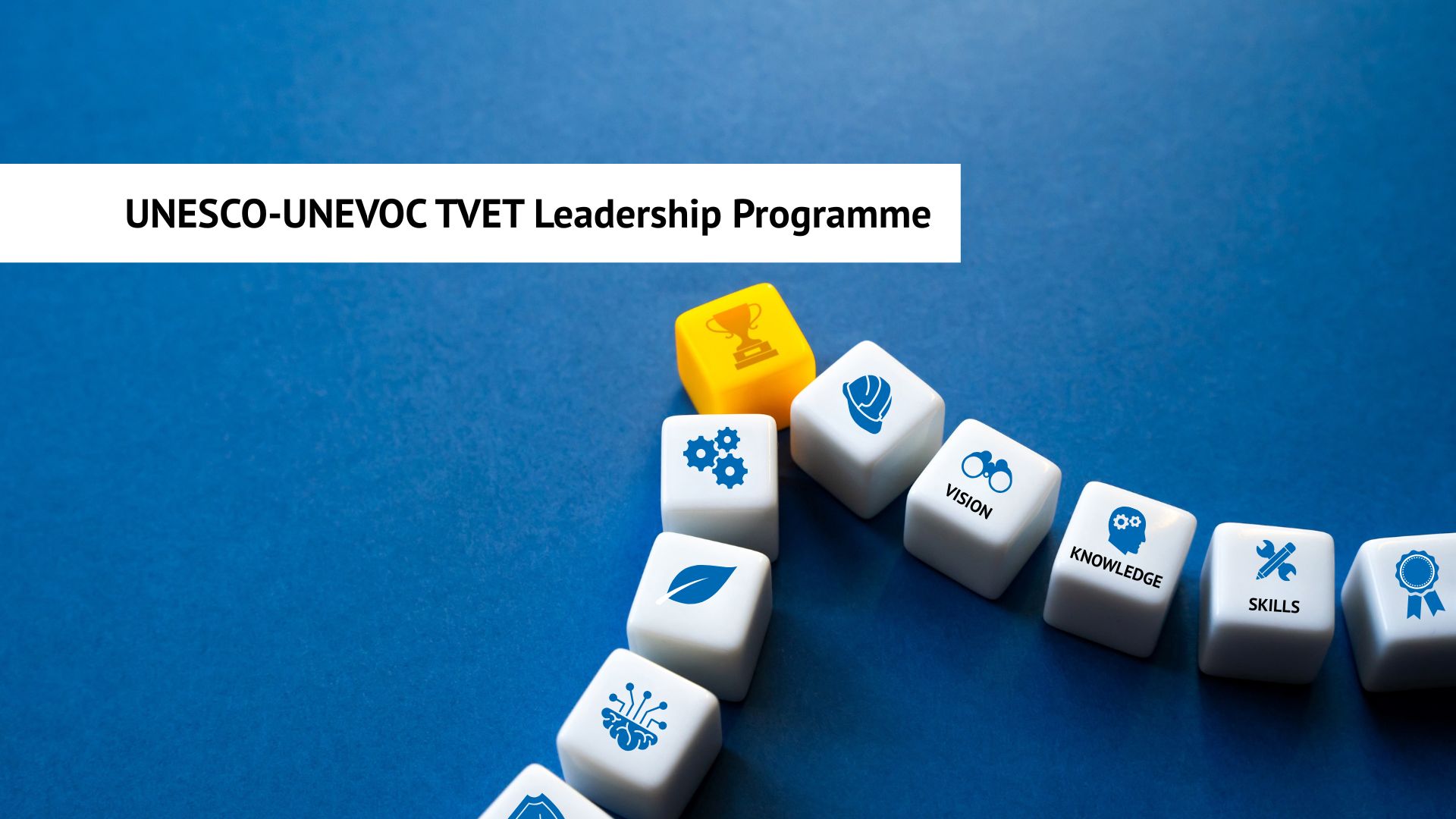 TVET Leadership Programme ( TLP) ED-005